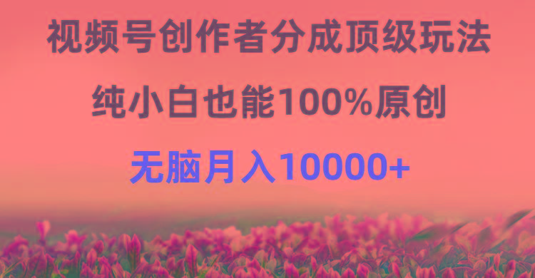 (9608期)视频号创作者分成顶级玩法，纯小白也能100%原创，无脑月入10000+-翻身站