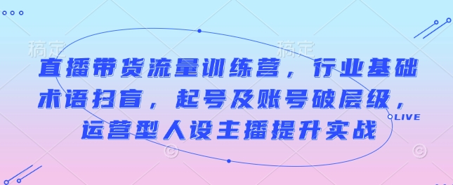 直播带货流量训练营，行业基础术语扫盲，起号及账号破层级，运营型人设主播提升实战-翻身站