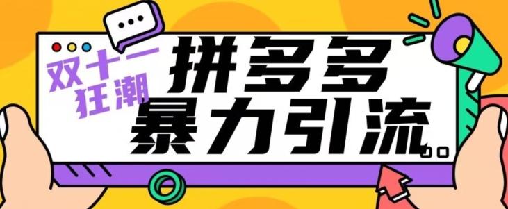 【首发】双十一拼多多暴力引流，日引300+微信-翻身站
