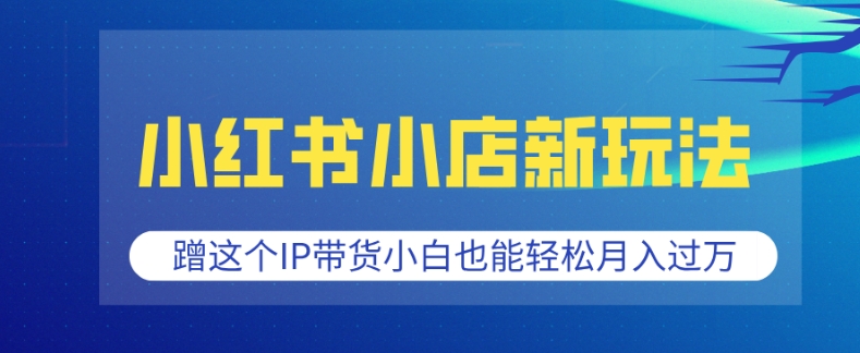 小红书小店新玩法，蹭这个IP带货，小白也能轻松月入过W【揭秘】-翻身站