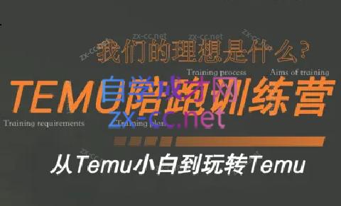 苗苗·拼多多跨境（temu）课程-翻身站