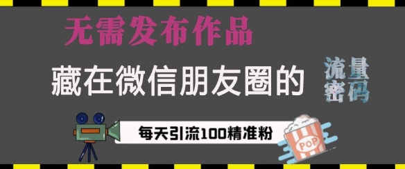 藏在微信朋友圈的流量密码，无需发布作品，单日引流100+精准创业粉【揭秘】-翻身站