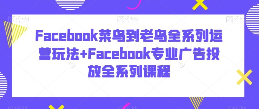 Facebook菜鸟到老鸟全系列运营玩法+Facebook专业广告投放全系列课程-翻身站