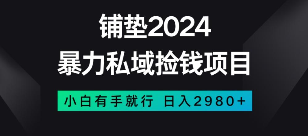 暴力私域捡钱项目，小白无脑操作，日入2980【揭秘】-翻身站