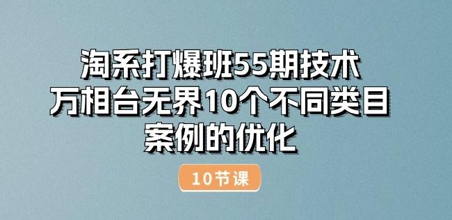 淘系打爆班55期技术：万相台无界10个不同类目案例的优化(10节)-翻身站