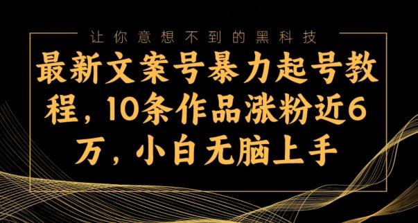 最新文案号暴力起号教程，10条作品涨粉近6万，小白无脑上手-翻身站
