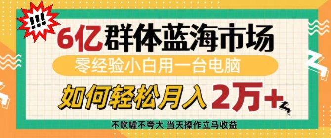 6亿群体蓝海市场，零经验小白用一台电脑，如何轻松月入过w【揭秘】-翻身站