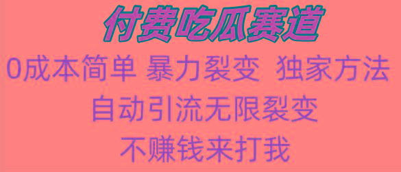 吃瓜付费赛道，暴力无限裂变，0成本，实测日入700+！！！-翻身站