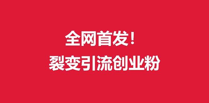 (全网首发)外面收费几千的裂变引流高质量创业粉-翻身站