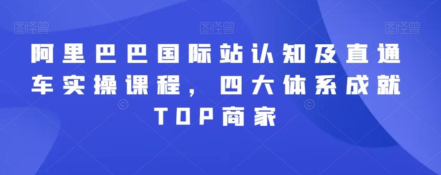 阿里巴巴国际站认知及直通车实操课程，四大体系成就TOP商家-翻身站