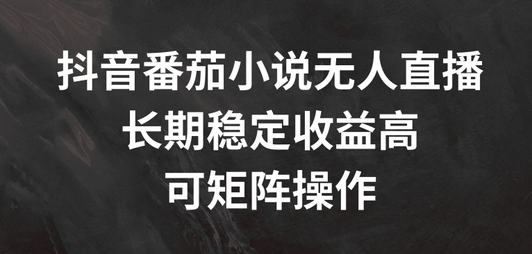 抖音番茄小说无人直播，长期稳定收益高，可矩阵操作【揭秘】-翻身站