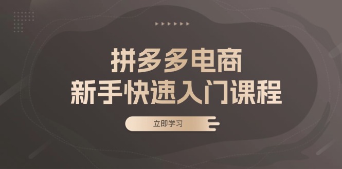 拼多多电商新手快速入门课程：涵盖基础、实战与选款，助力小白轻松上手-翻身站
