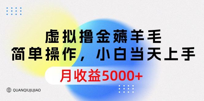 (9864期)虚拟撸金薅羊毛，简单操作，小白当天上手，月收益5000+-翻身站