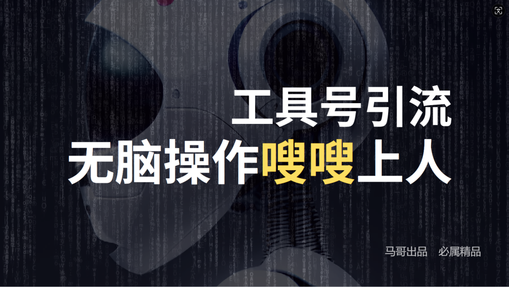 24年抖音最新工具号日引流300+创业粉，日入5000+-翻身站