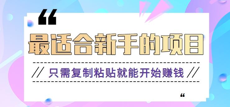 2024最适合新手操作的项目，新手小白只需复制粘贴就能开始赚钱【视频教程+软件】-翻身站