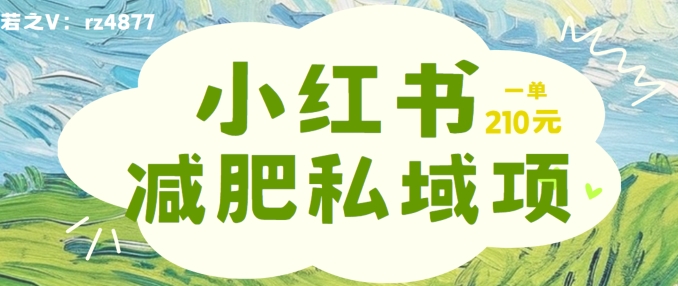 小红书减肥粉，私域变现项目，一单就达210元，小白也能轻松上手【揭秘】-翻身站