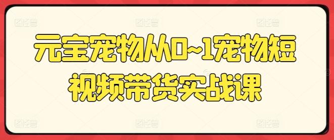 元宝宠物从0~1宠物短视频带货实战课-翻身站