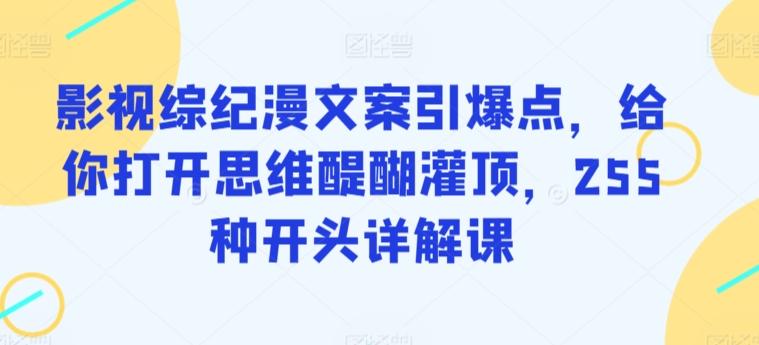 影视综纪漫文案引爆点，给你打开思维醍醐灌顶，255种开头详解课-翻身站