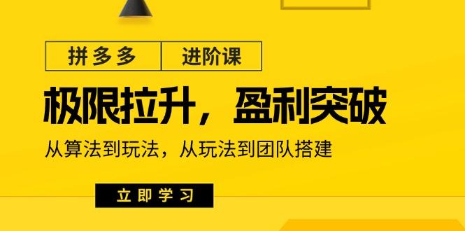 拼多多·进阶课：极限拉升/盈利突破：从算法到玩法 从玩法到团队搭建-18节-翻身站