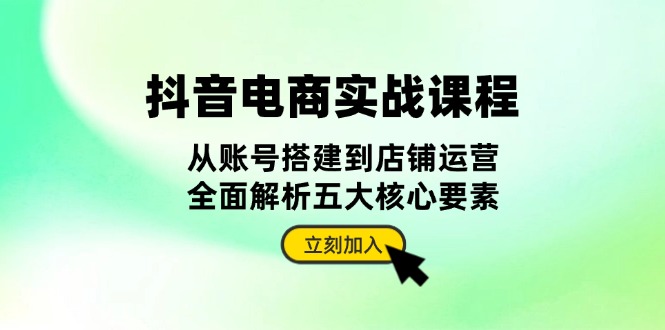 抖音 电商实战课程：从账号搭建到店铺运营，全面解析五大核心要素-翻身站