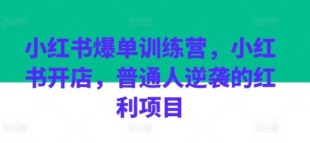 小红书爆单训练营，小红书开店，普通人逆袭的红利项目-翻身站
