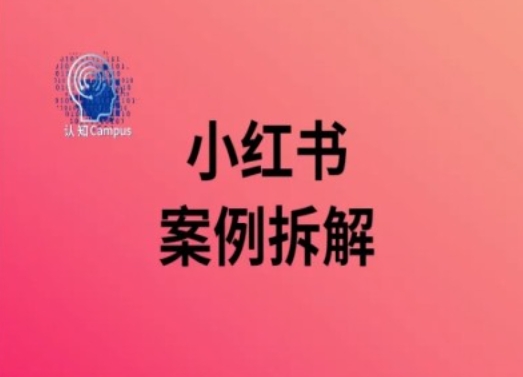 小红书案例拆解，深度解读小红书40万粉-翻身站