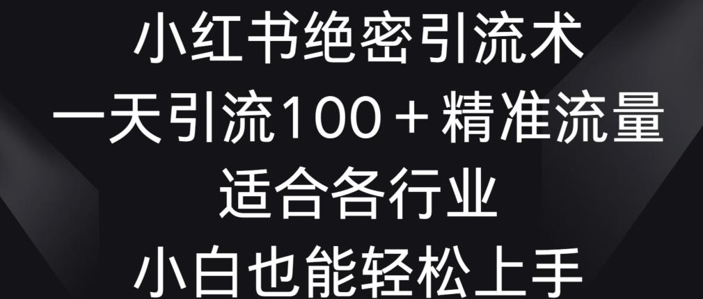 小红书绝密引流术，一天引流100+精准流量，适合各个行业，小白也能轻松上手【揭秘】-翻身站