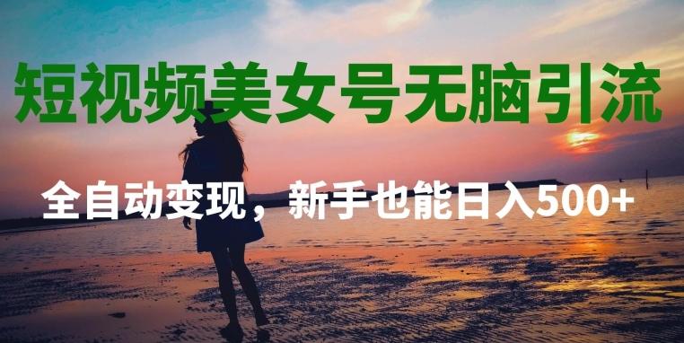 短视频美女号无脑引流，全自动变现，新手也能日入500+-翻身站