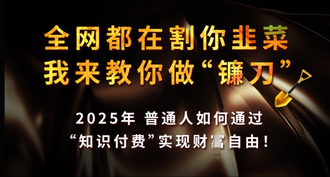全网都在割你韭菜，我来教你做镰刀，2025年普通人如何通过 知识付费 实现财F自由【揭秘】-翻身站