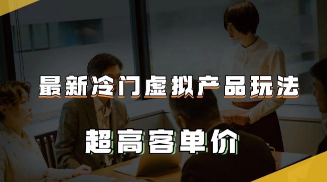 最新冷门虚拟产品玩法，超高客单价，月入2-3万＋【揭秘】-翻身站