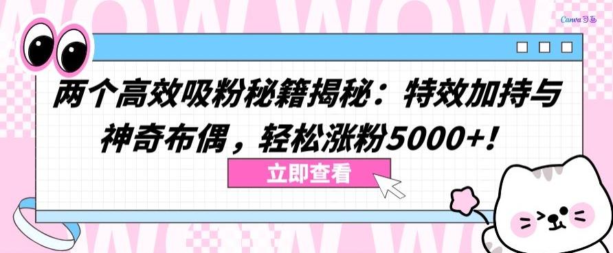 两个高效吸粉秘籍揭秘：特效加持与神奇布偶，轻松涨粉5000+【揭秘】-翻身站