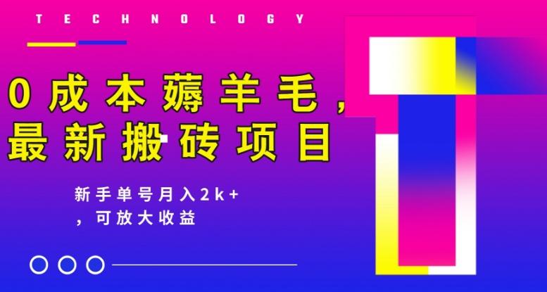 0成本薅羊毛，最新搬砖项目，新手单号月入2k+，可放大操作-翻身站
