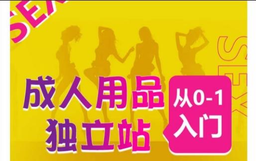 成人用品独立站从0-1入门，成品独立站运营全流程教学，七大好卖成品独立站推荐-翻身站