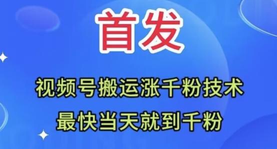 全网首发：视频号无脑搬运涨千粉技术，最快当天到千粉【揭秘】-翻身站
