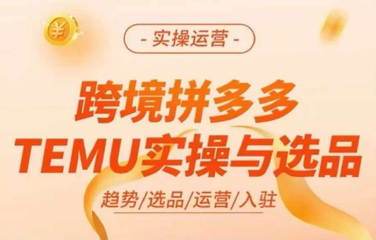 跨境拼多多TEMU实操与选品，多多temu跨境选品运营实操-翻身站