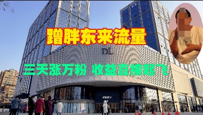蹭胖东来流量，三天涨万粉，收益直接起飞-翻身站