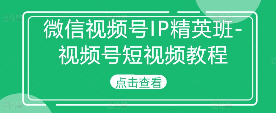 微信视频号IP精英班-视频号短视频教程-翻身站