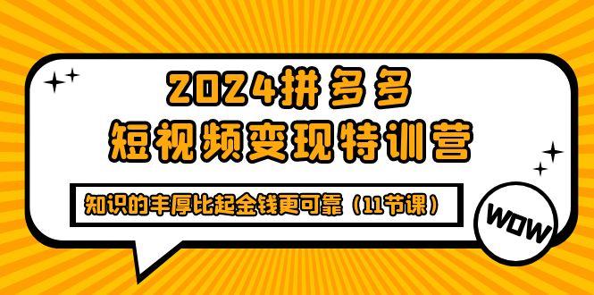 (9817期)2024拼多多短视频变现特训营，知识的丰厚比起金钱更可靠(11节课)-翻身站