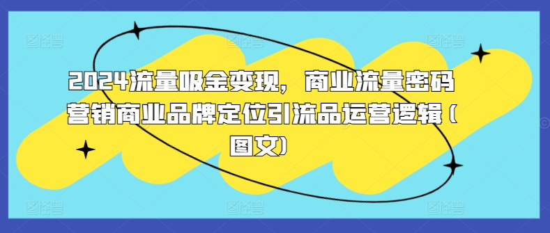 2024流量吸金变现，商业流量密码营销商业品牌定位引流品运营逻辑(图文)-翻身站