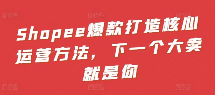 Shopee爆款打造核心运营方法，下一个大卖就是你-翻身站