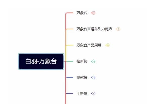 白羽·直引万搜索全篇，从0-1，多个类目实操经验总结付费-翻身站