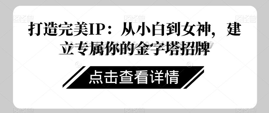 打造完美IP：从小白到女神，建立专属你的金字塔招牌-翻身站