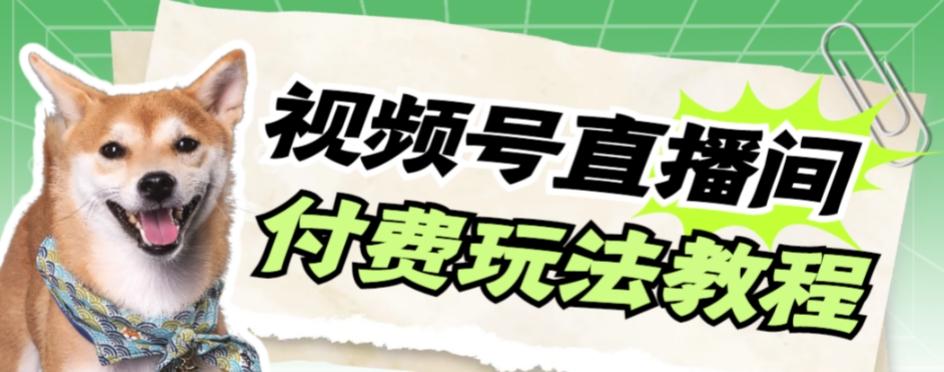 视频号美女付费无人直播，轻松日入500+【详细玩法教程】-翻身站