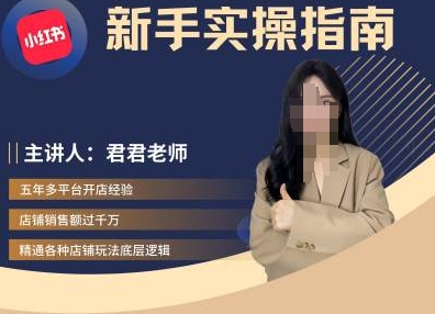 君君-小红书电商从入门到精通，新手实操指南-翻身站