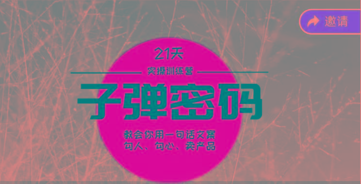 《子弹密码训练营》-用一句话文案勾人勾心卖产品，21天学到顶尖文案大师策略和技巧-翻身站