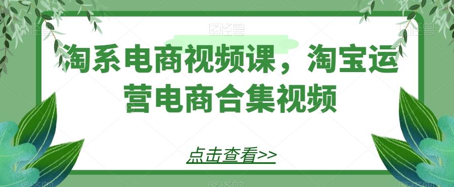 淘系电商视频课，淘宝运营电商合集视频-翻身站
