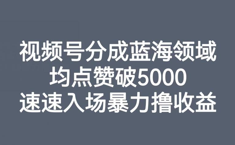 视频号分成蓝海领域，均点赞破5000，速速入场暴力撸收益-翻身站