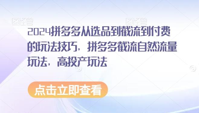 2024拼多多从选品到截流到付费的玩法技巧，拼多多截流自然流量玩法，高投产玩法-翻身站