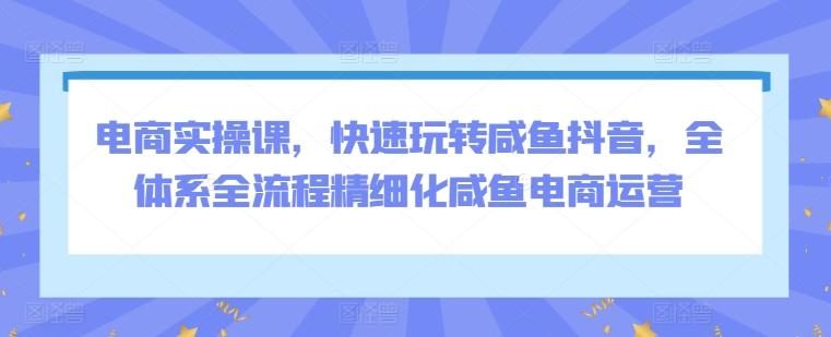 电商实操课，快速玩转咸鱼抖音，全体系全流程精细化咸鱼电商运营-翻身站