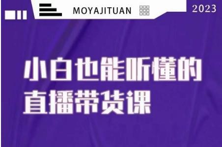 大威本威·能听懂的直播带货课，小白也能听懂，20节完整-翻身站